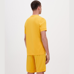 Футболка игровая JÖGEL DIVISION PerFormDRY Union Jersey, желтый