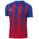 Футболка игровая JÖGEL CAMP Striped Jersey, красный/синий