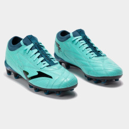 Ассортимент | EVOLUTION 2517 FIRM GROUND