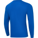 Лонгслив тренировочный JÖGEL DIVISION PerFormDRY Training CVC LS Z2, синий
