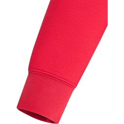 Худи JÖGEL ESSENTIAL Terry Hoodie, красный