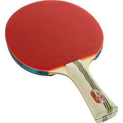 Ракетка для настольного тенниса DOUBLE FISH 4D-C в комплекте с чехлом