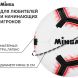 Мяч футбольный MINSA, TPE, машинная сшивка, 12 панелей, р. 5