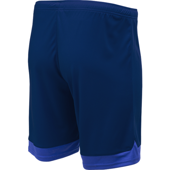 Шорты игровые JÖGEL DIVISION PerFormDRY Union Shorts, темно-синий/синий/белый, детский