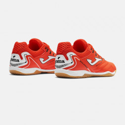 Ассортимент | MAXIMA 2606 INDOOR