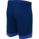 Шорты игровые JÖGEL DIVISION PerFormDRY Union Shorts, темно-синий/синий/белый