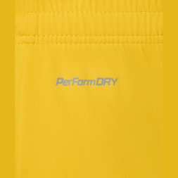 Шорты вратарские JOGEL PREMIER PerFormDRY GK Shorts Yellow, желтый