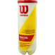 СЦ* Мяч теннисный WILSON Championship, WRT100101,пласт.банка 3 мяча,Н.ГЕРМЕТИЧНОСТЬ