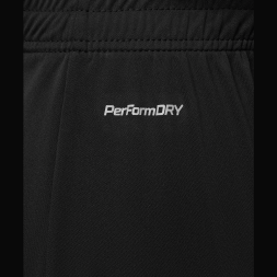 Шорты вратарские JOGEL PREMIER PerFormDRY GK Shorts Black, черный