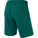 Шорты игровые JÖGEL CAMP Classic Shorts, темно-зеленый