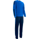 Костюм тренировочный TORRES Professional Training, K-2101-063-S, р.S, полиэстер, васильково-т.синий