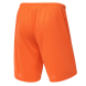 Шорты баскетбольные JÖGEL CAMP Basic, оранжевый
