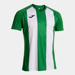 Игровая футболка JOMA INTER IV VERDE BLANCO