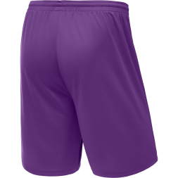 Шорты баскетбольные JÖGEL CAMP Basic, фиолетовый