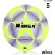 Мяч футбольный MINSA, TPU, машинная сшивка, 12 панелей, р. 5