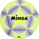 Мяч футбольный MINSA, TPU, машинная сшивка, 12 панелей, р. 5