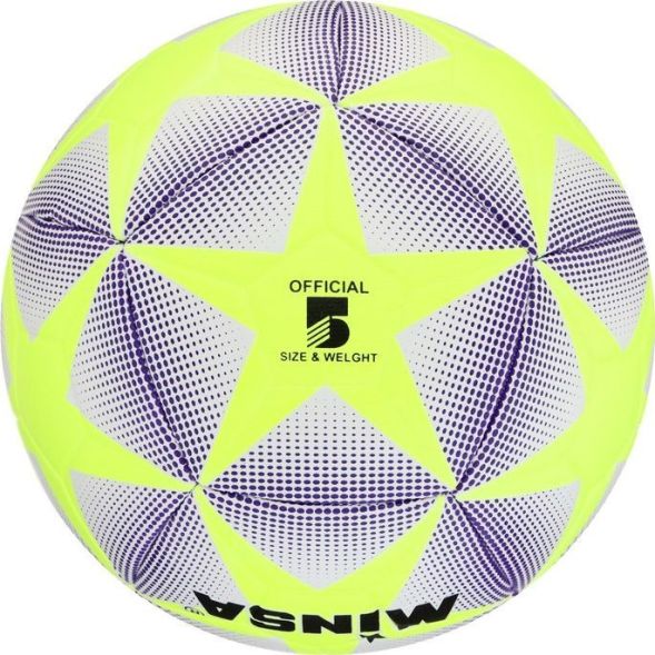 Мяч футбольный MINSA, TPU, машинная сшивка, 12 панелей, р. 5