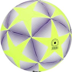 Мяч футбольный MINSA, TPU, машинная сшивка, 12 панелей, р. 5