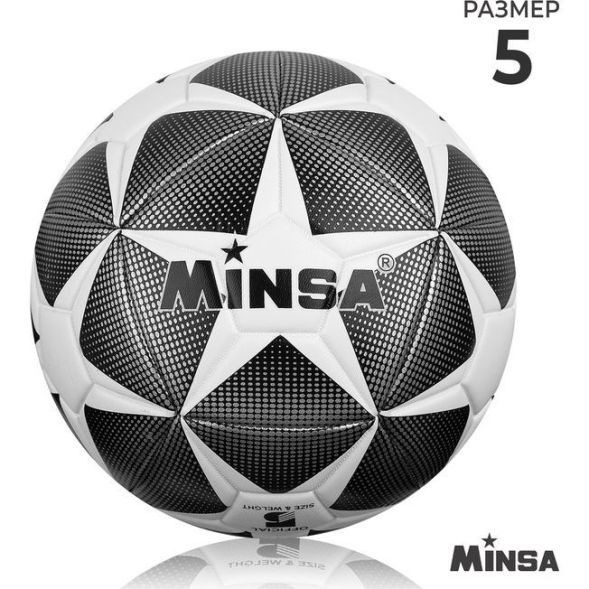 Мяч футбольный MINSA, TPU, машинная сшивка, 12 панелей, р. 5