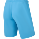 Шорты игровые JÖGEL CAMP Classic Shorts, голубой