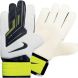 Вратарские перчатки NIKE GK CLASSIC GS0248-171