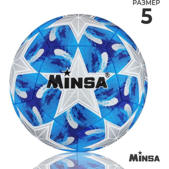 Мяч футбольный MINSA, TPE, машинная сшивка, 12 панелей, р. 5