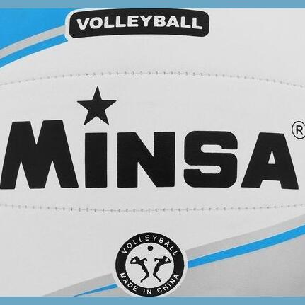 Мяч волейбольный MINSA, ПВХ, машинная сшивка, 18 панелей, р. 5