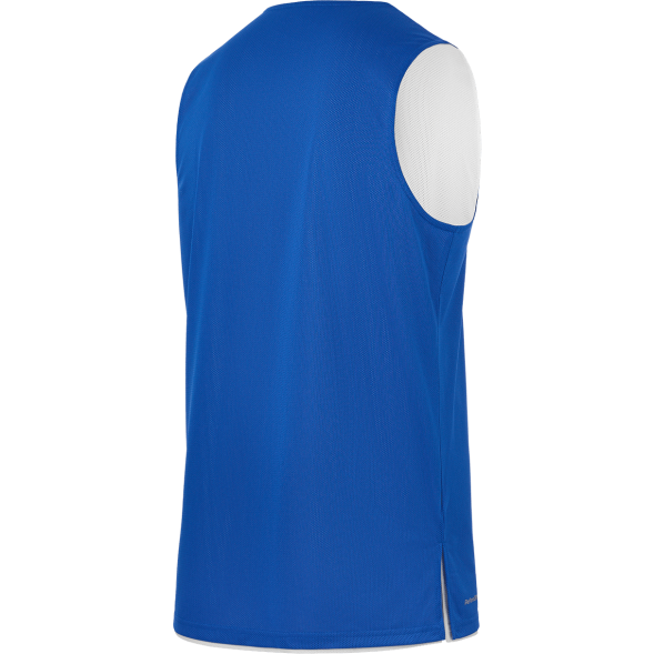 Майка двухсторонняя JÖGEL DIVISION PerFormDRY Double-Side RBF Jersey, синий/белый