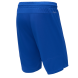 Шорты баскетбольные JÖGEL PerformDry Division Star, синий