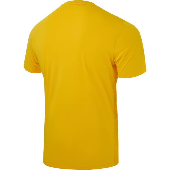 Футболка вратарская JÖGEL DIVISION PerFormDRY SPLASH GK Jersey, желтый
