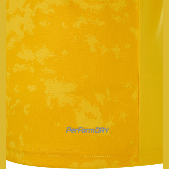 Футболка вратарская JÖGEL DIVISION PerFormDRY SPLASH GK Jersey, желтый