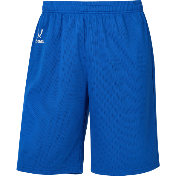 Шорты баскетбольные JÖGEL DIVISION PerFormDRY RBF 2S Shorts, синий