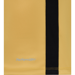 Футболка игровая JÖGEL DIVISION PerFormDRY Element Jersey Y2, золотой