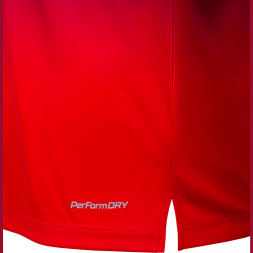 Футболка тренировочная JOGEL NATIONAL PerFormDRY Pre-Match Tee, сине-красный