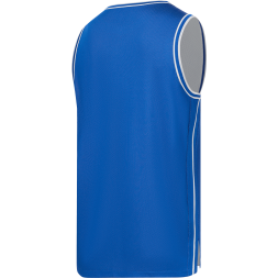 Майка двухсторонняя JÖGEL DIVISION PerFormDRY Double-Side Jersey, синий/белый