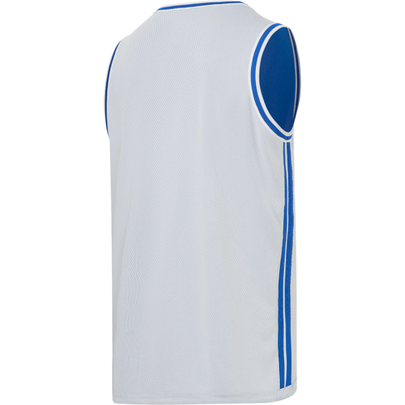 Майка двухсторонняя JÖGEL DIVISION PerFormDRY Double-Side Jersey, синий/белый