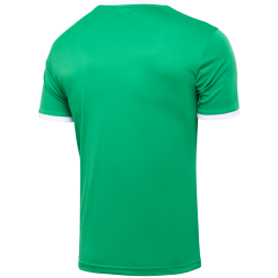 Футболка футбольная JÖGEL CAMP Origin, зеленый/белый, детский
