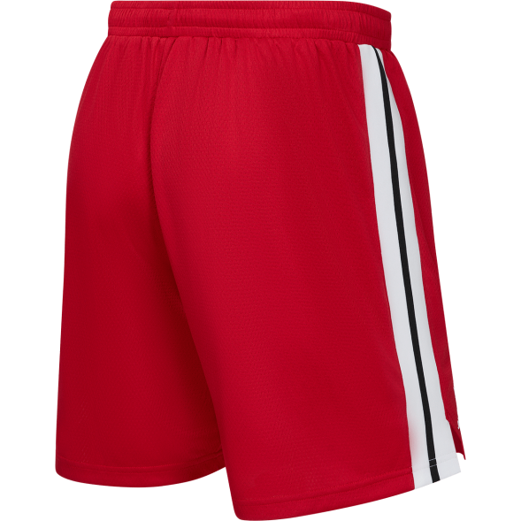 Шорты баскетбольные JÖGEL DIVISION PerFormDRY Shorts R2, красный