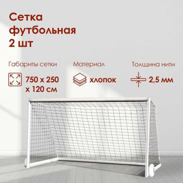 Сетка футбольная, 7,5х2,5 м, нить 2,5 мм,  2 шт.