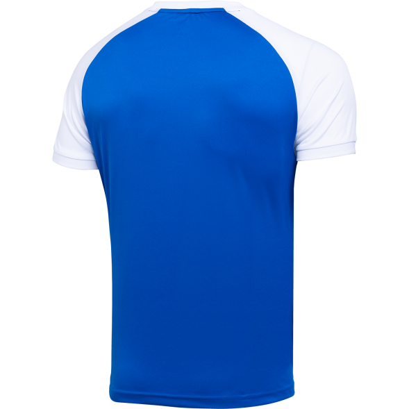 Футболка игровая JÖGEL CAMP Reglan Jersey, синий/белый, детский