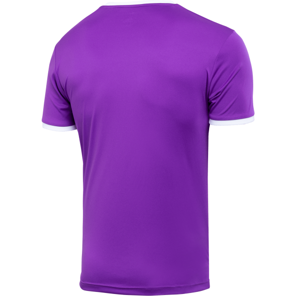 Футболка футбольная JÖGEL CAMP Origin, фиолетовый/белый