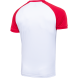 Футболка игровая JÖGEL CAMP Reglan Jersey, белый/красный