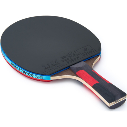 Ракетка для настольного тенниса DOUBLE FISH CK-208,  1 ракетка с сумкой-чехлом