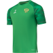 Футболка вратарская JÖGEL NATIONAL PerFormDRY GK Jersey, зеленый