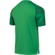 Футболка вратарская JÖGEL NATIONAL PerFormDRY GK Jersey, зеленый