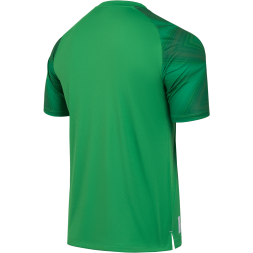 Футболка вратарская JOGEL NATIONAL PerFormDRY GK Jersey, зеленый