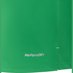 Футболка вратарская JOGEL NATIONAL PerFormDRY GK Jersey, зеленый