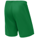 Шорты баскетбольные JÖGEL CAMP Basic, зеленый, детский