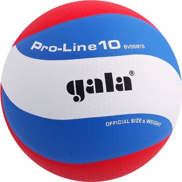 Мяч волейбольный Gala Pro-Line10, BV5581S, синтетическая кожа, микрофибра, клееный, 10 панелей, р. 5