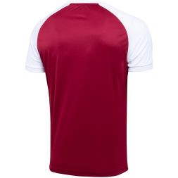 Футболка игровая JÖGEL CAMP Reglan Jersey, гранатовый/белый